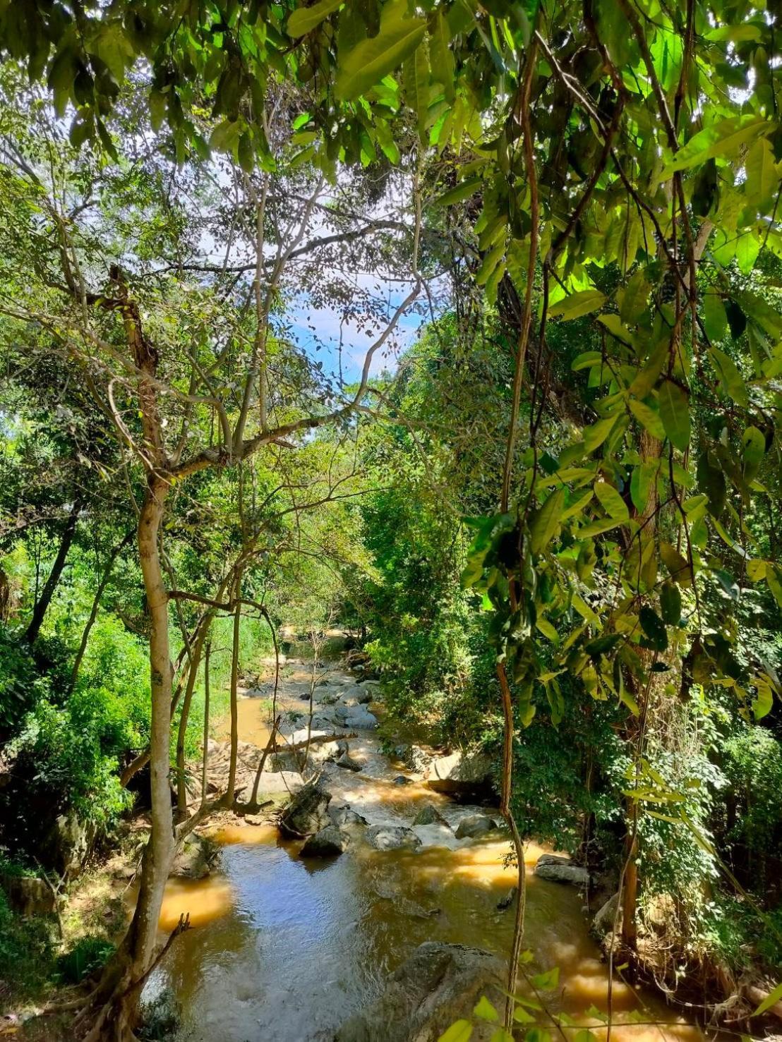 Maesa Greenery Hill Sha Mae Rim Zewnętrze zdjęcie