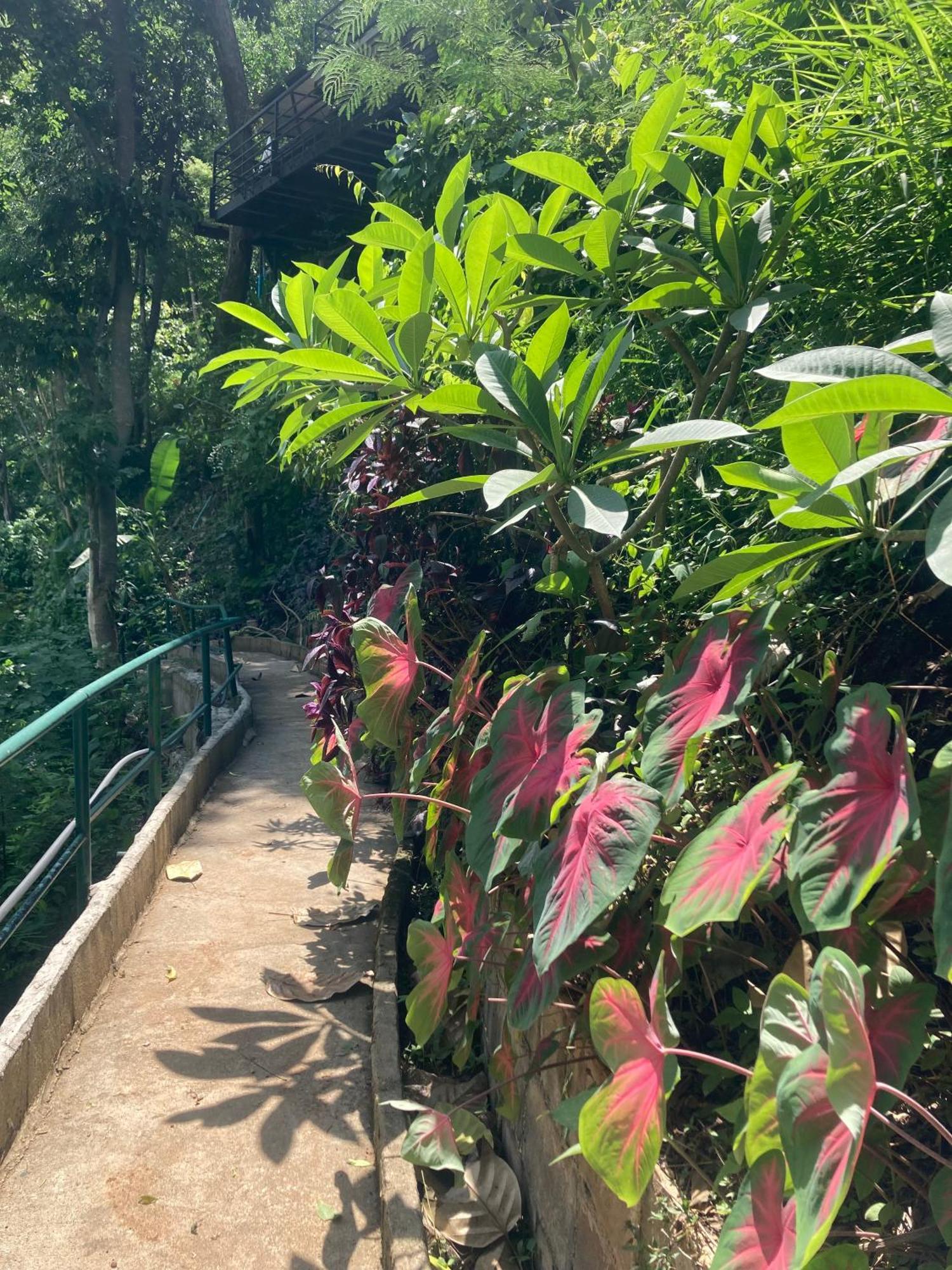Maesa Greenery Hill Sha Mae Rim Zewnętrze zdjęcie